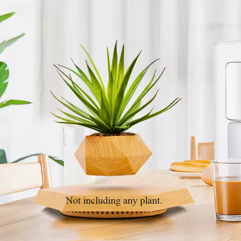 Levitating Bonsai Planter – Anti-Gravity Magnetic Floating Pot for Plants &amp; Home Décor 🌿✨